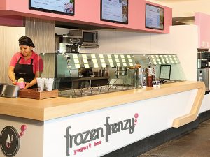 Frozen Frenzy soft yogurt